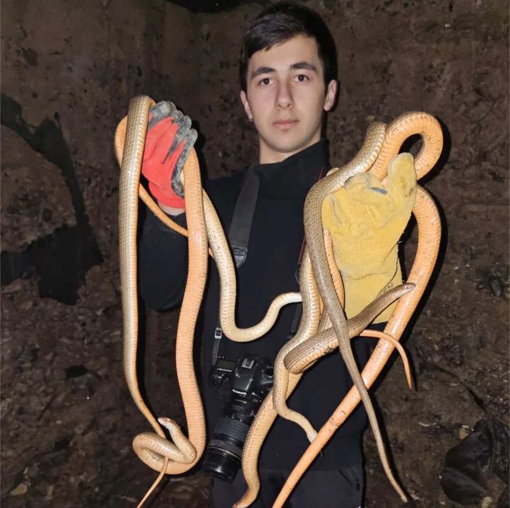 Ioane Rostiashvili