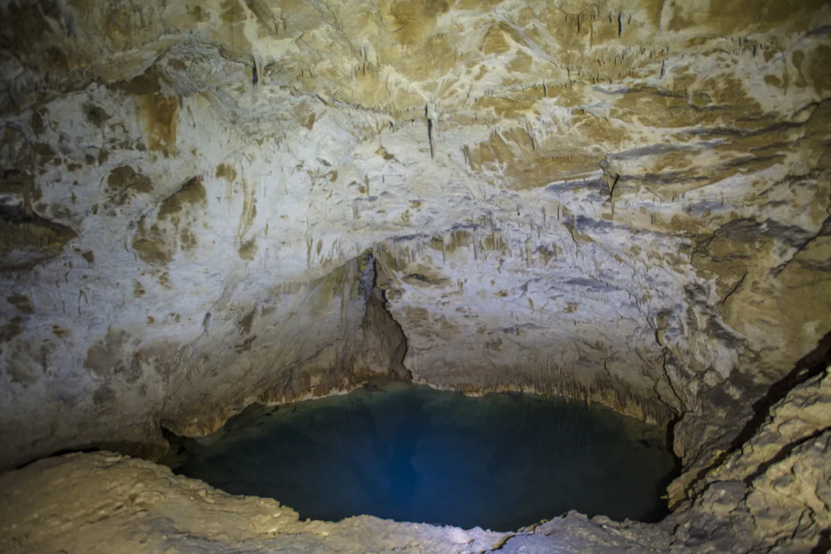 Motena Cave, a lake under a ceiling hung with stalactites. Colchidoniscus motenae is known only from this cave. Wikimedia Commons, CC BY-SA 4.0.