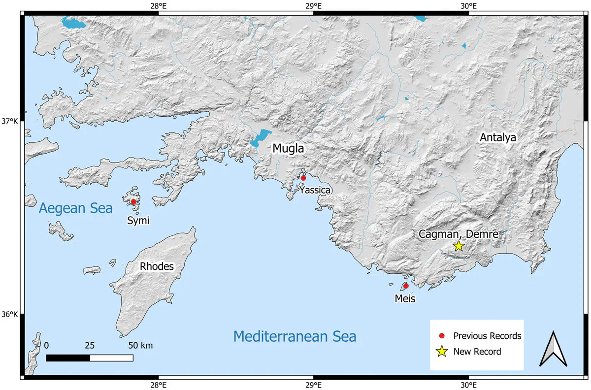 Güneybatı Türkiye haritası: Sembe (Symi), Meis ve Yassıca’daki önceki melanistik kayıtlar ve Çağman–Demre’deki yeni anakara kaydı. Caucasiana, CC BY 4.0.